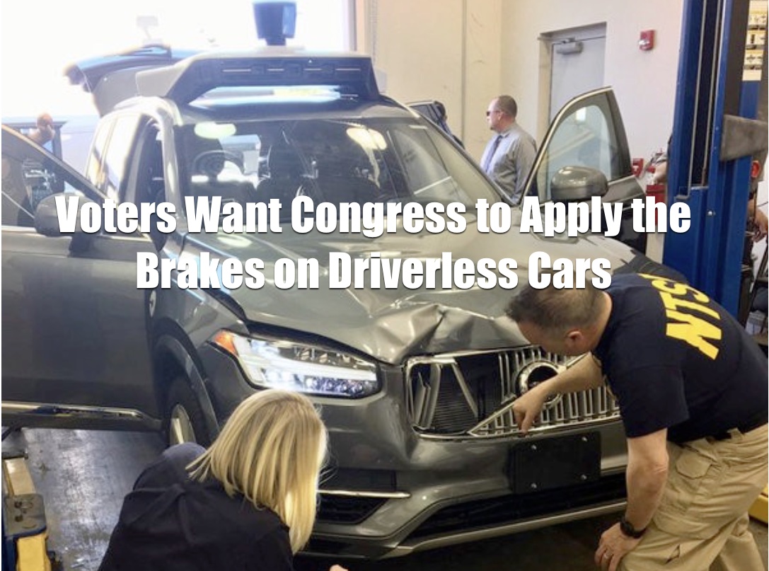 Driverless Car Crash