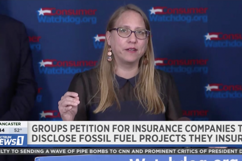 Carmen Balber speaks out on insurance industry coverage of climate disasters