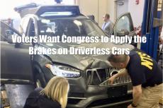 Driverless Car Crash