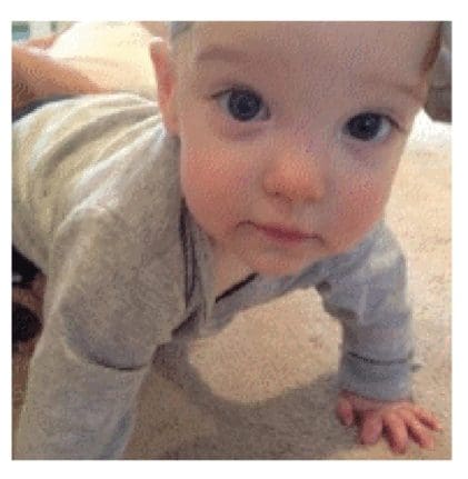 Morgan Westhoff Morgan Westhoff