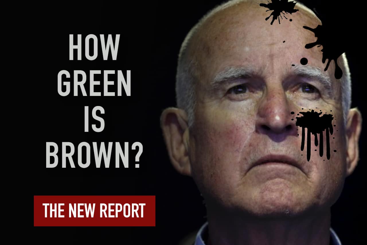 Report-Slider-How-Green-is-Brown