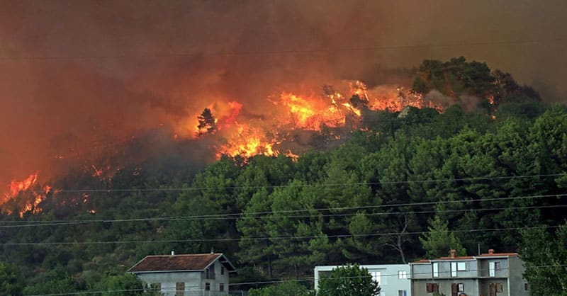 wildfire