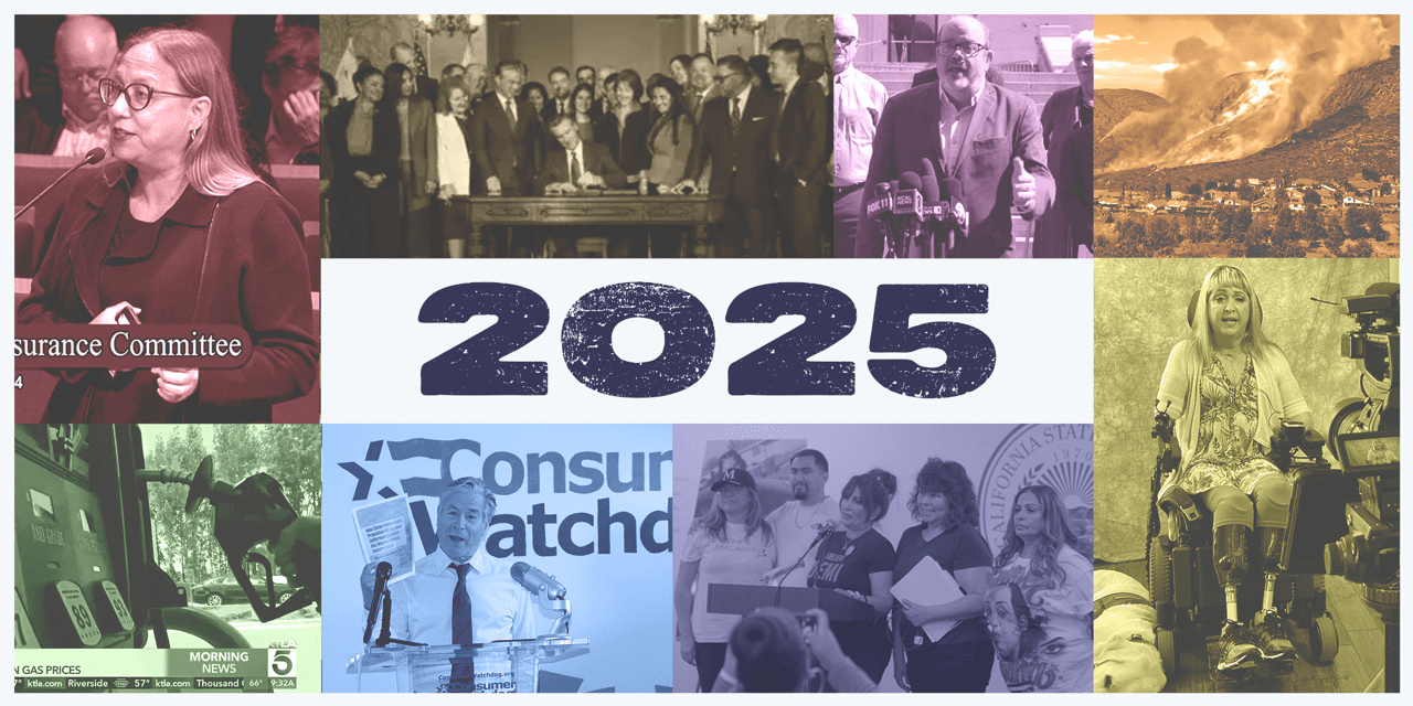 Consumer Watchdog 2025 Goals