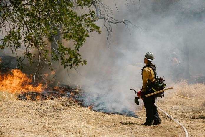 firefighters confronting wildfire