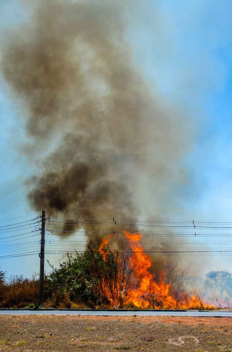 Landmark Legislation Requiring Independent Audits Of Utility Wildfire Mitigation Spending Before More Is Approved Passes Assembly Energy Committee